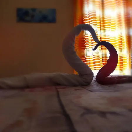 Sogni D'oro *
