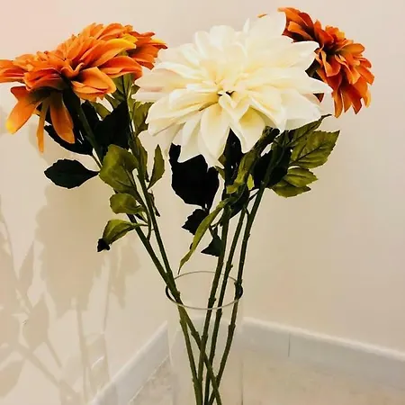 Sogni D'oro * Бари